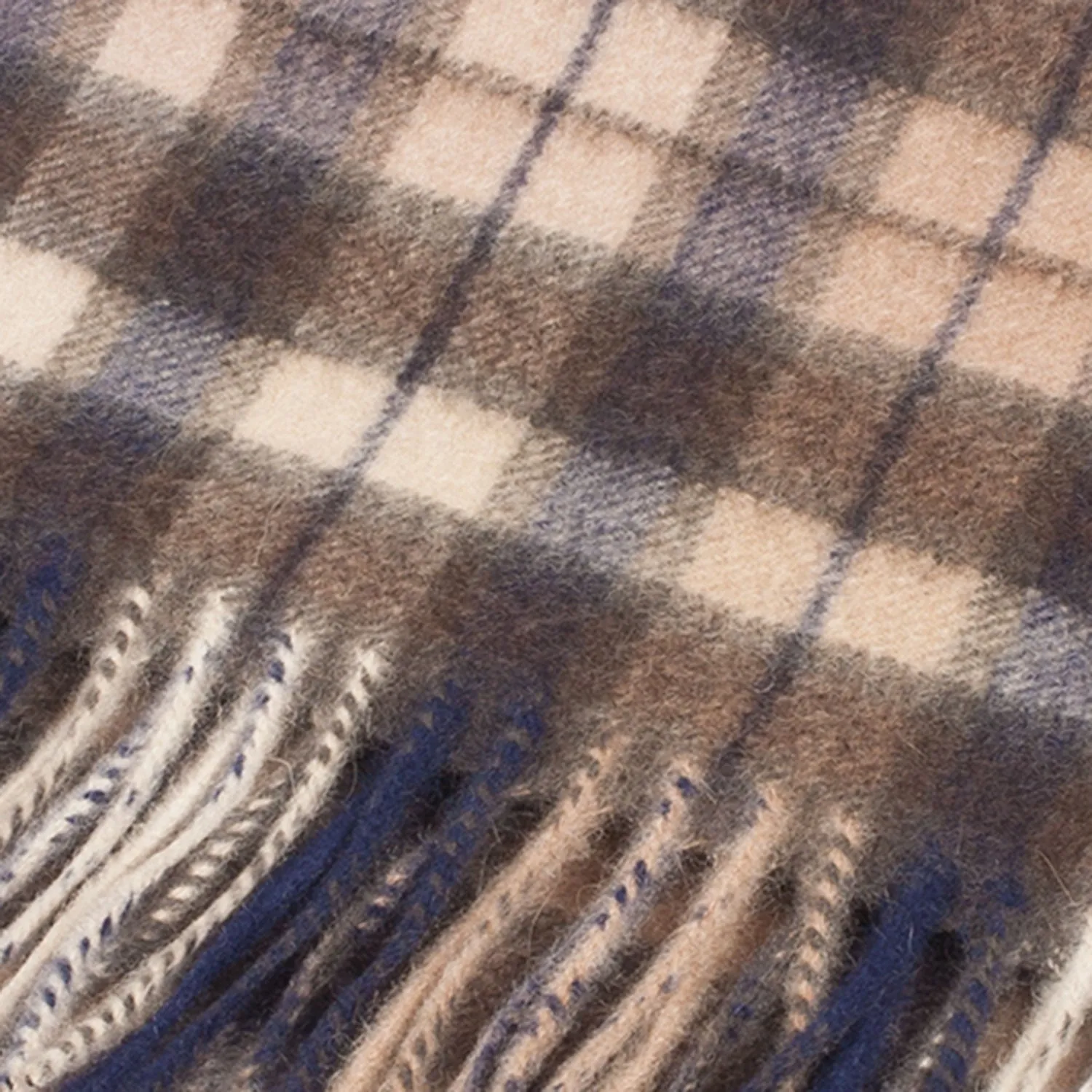 Edinburgh Cashmere Scarf  Winter Check - Black/Brown