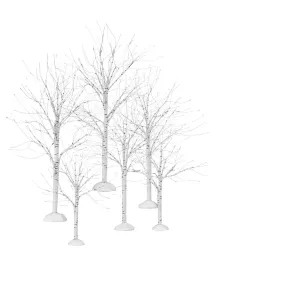 Winter Birch Trees, Dept. 56 Village